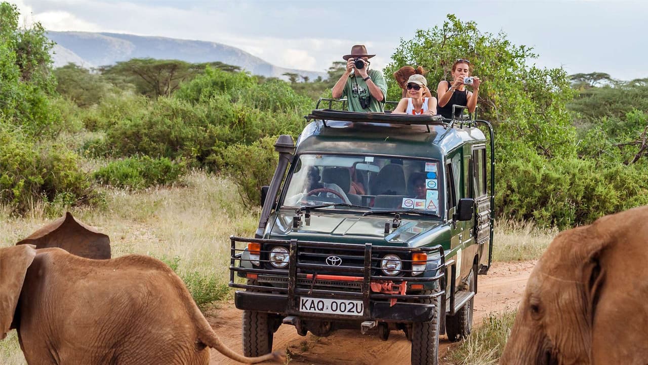 Killer Safari