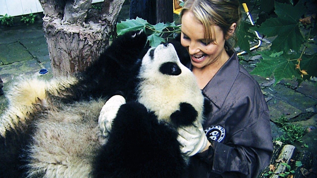 Baby Panda
