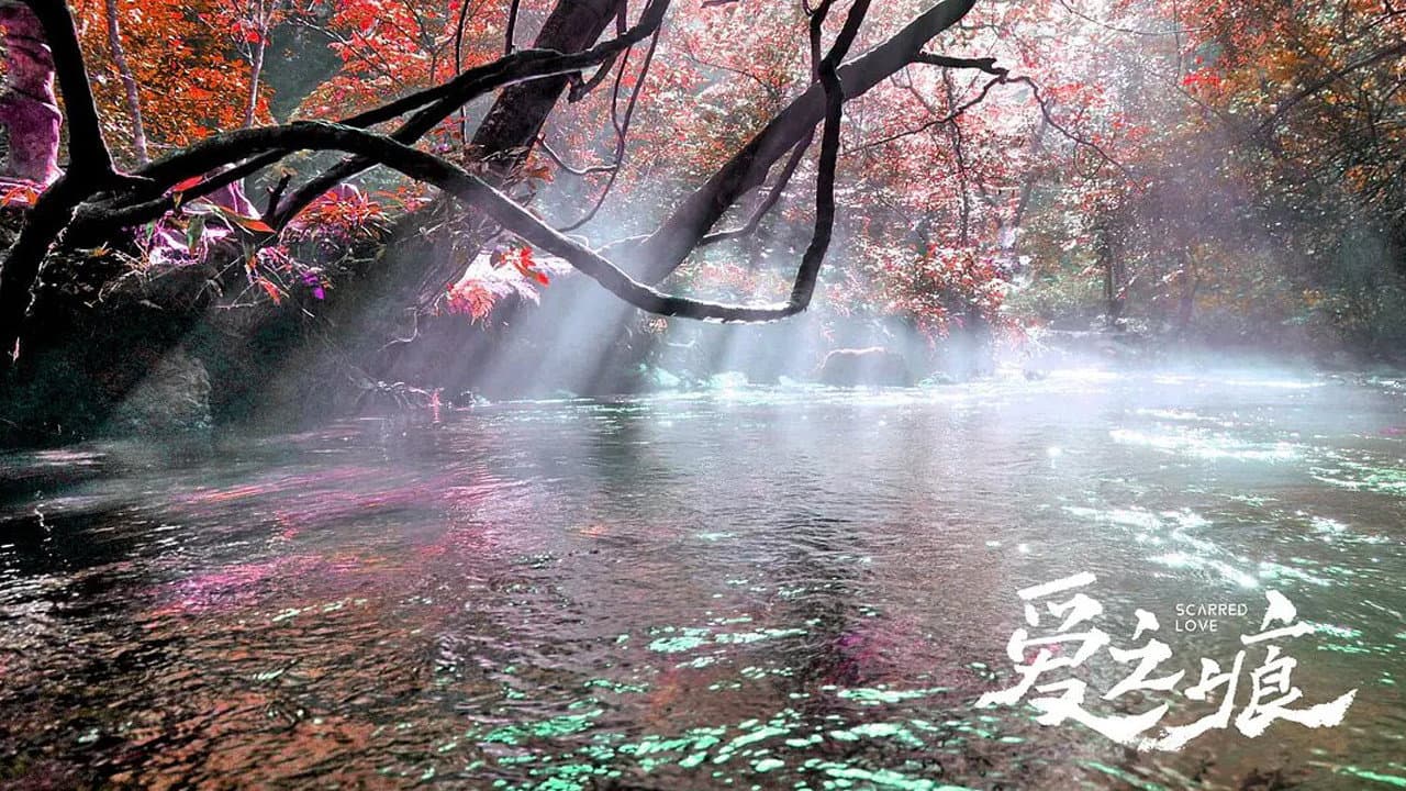 爱·之痕