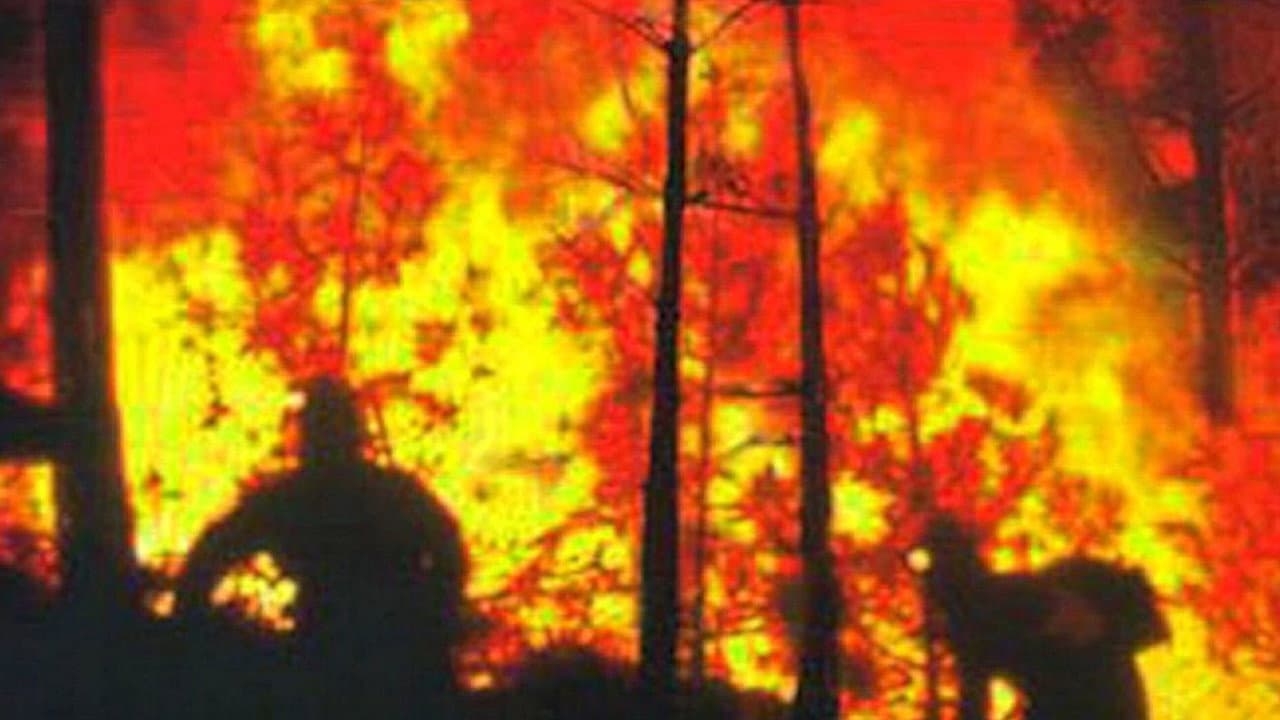Anjos do Inferno