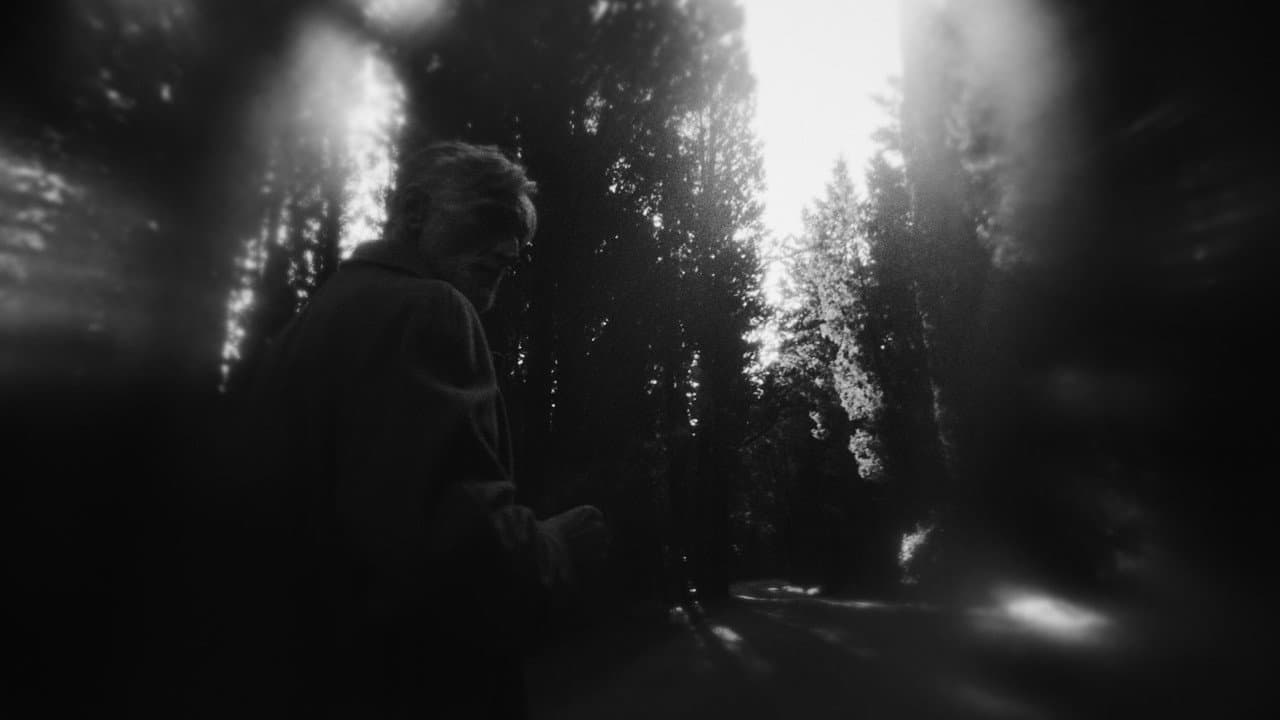 Noi