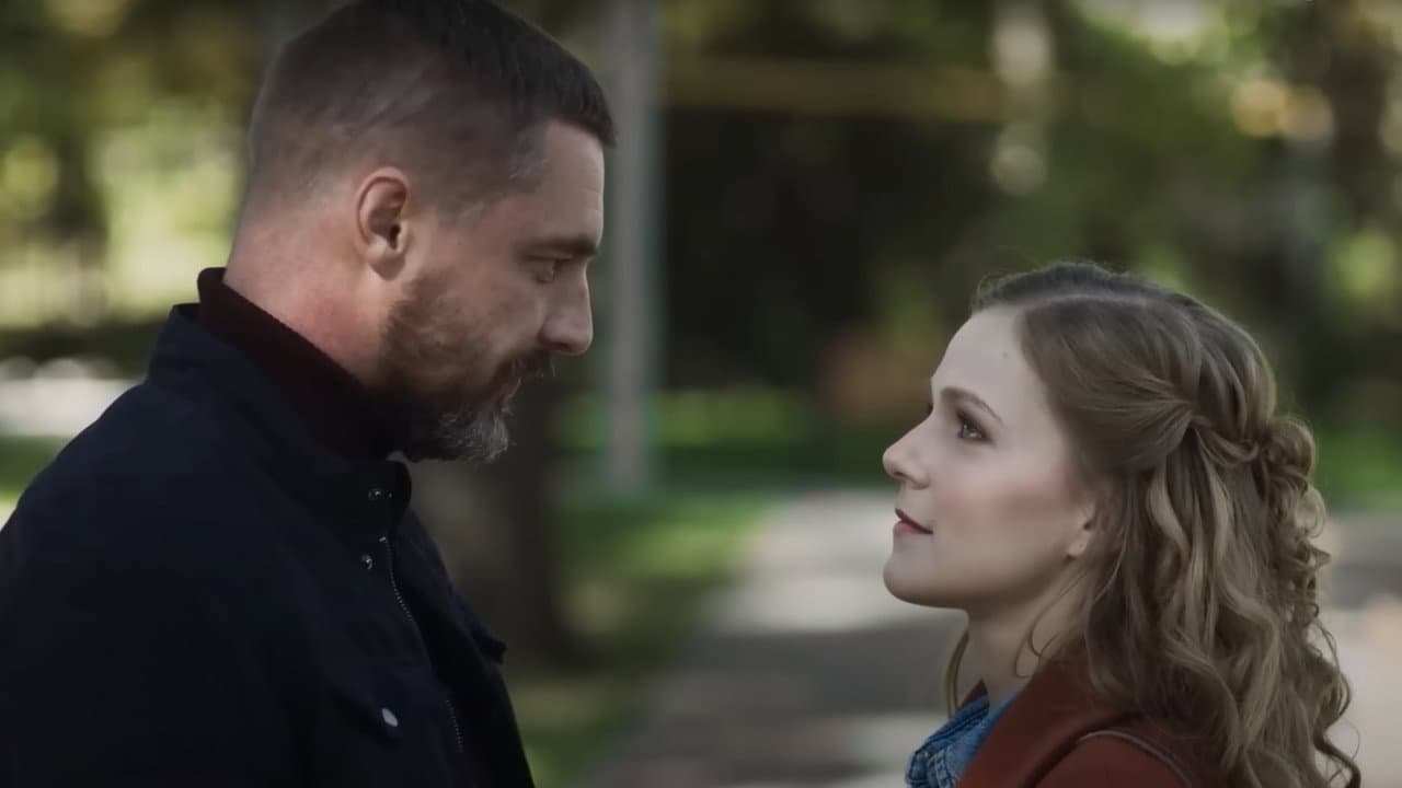 Год собаки