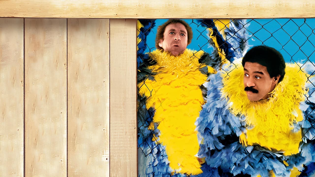 Loucos de Dar Nó