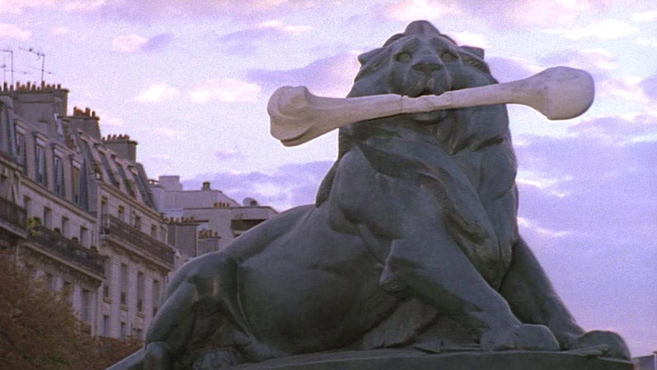 O Leão Volátil