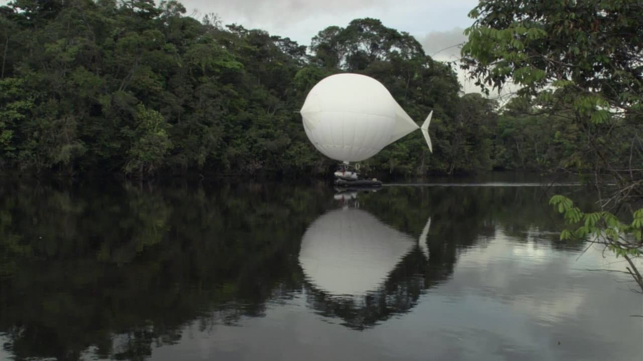 O Diamante Branco