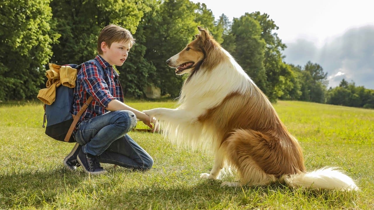 Lassie de Volta a Casa