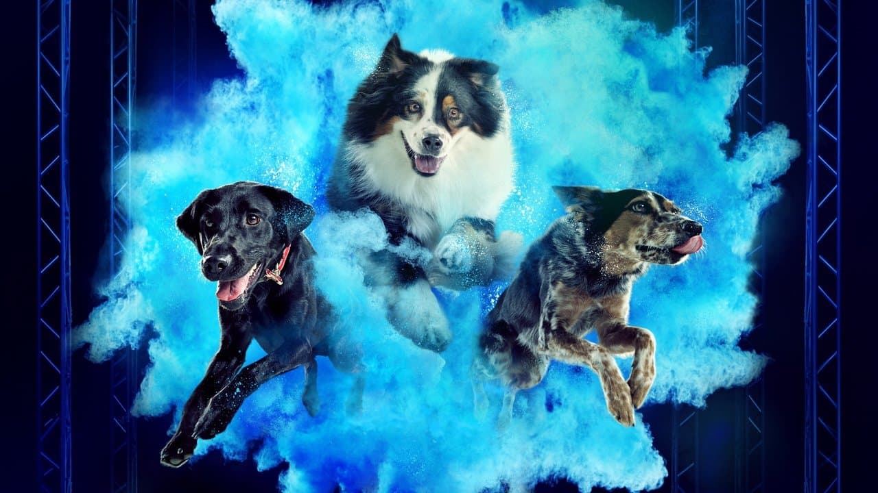 Os Melhores Cães Policiais