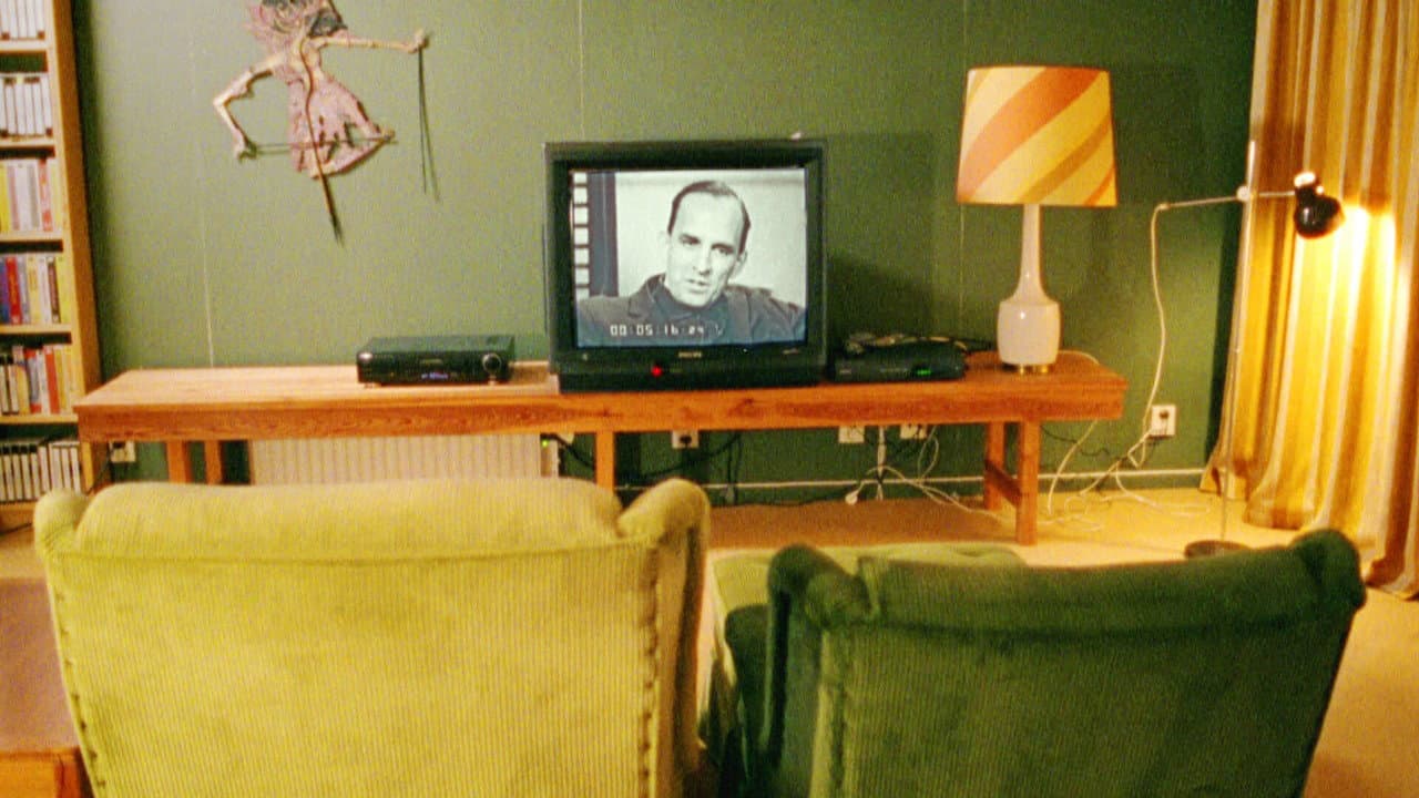 Bergmans video