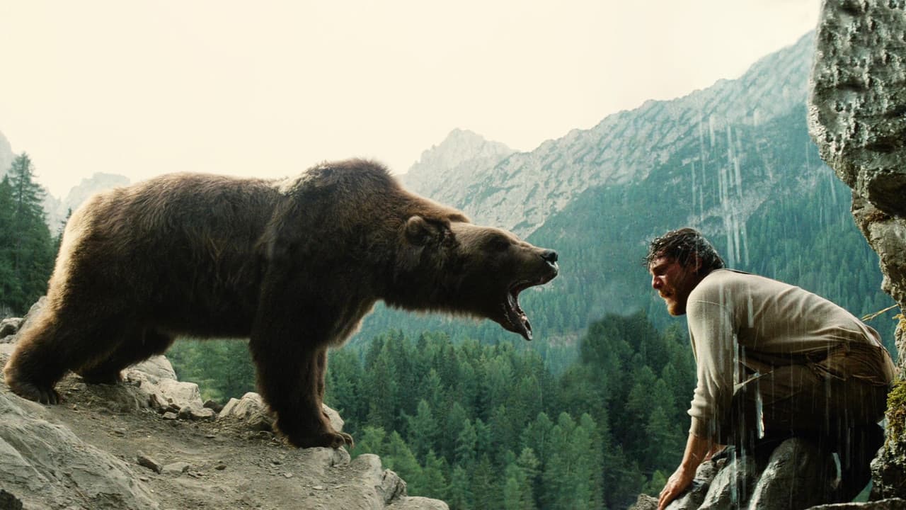 O Urso