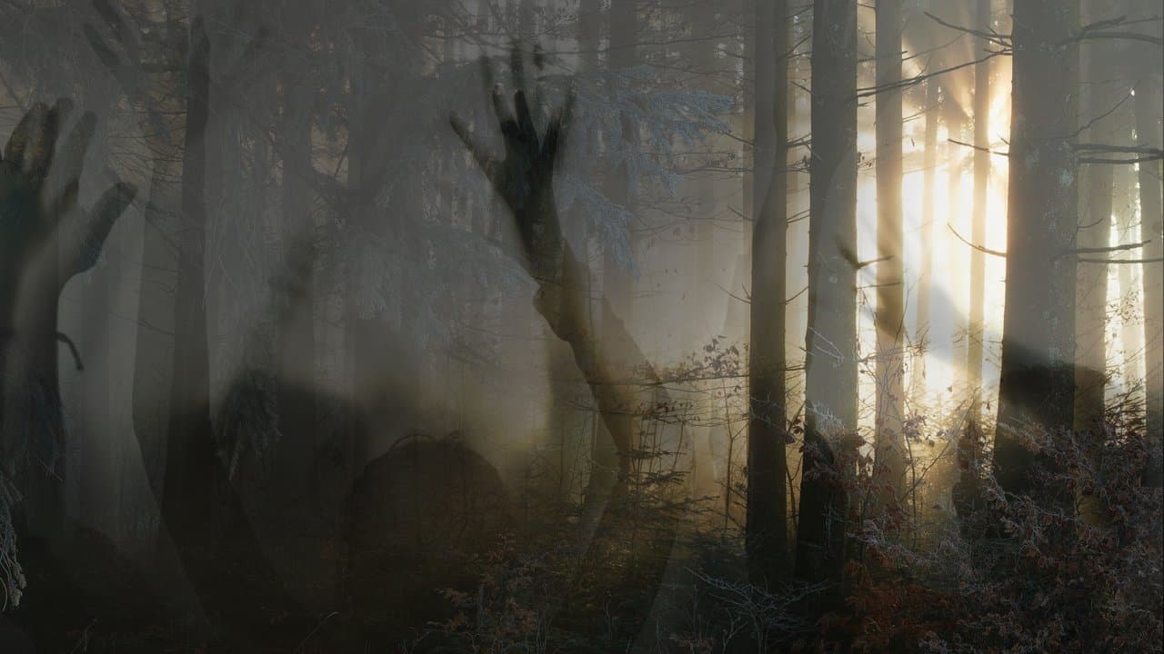 Sobrevivente Paranormal