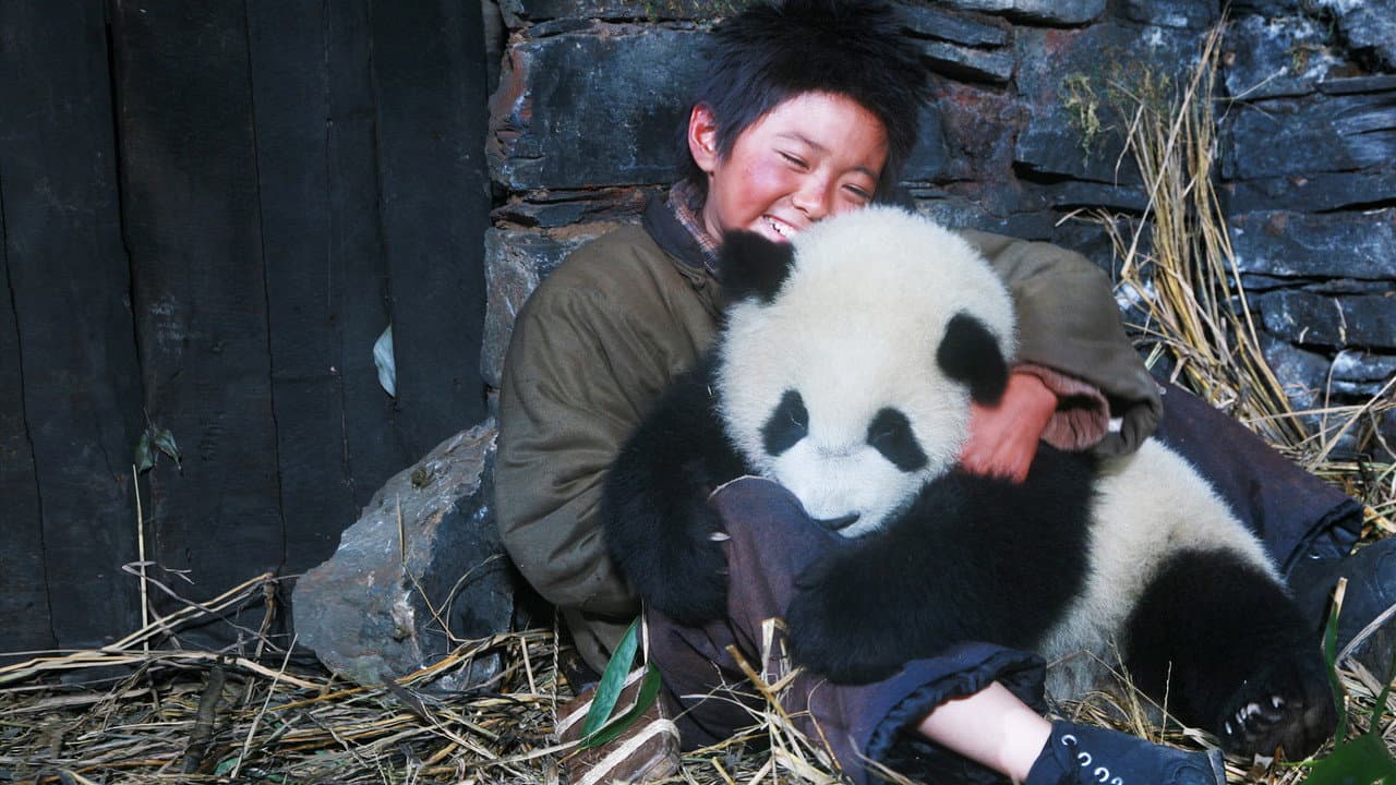 Os Rastros do Panda