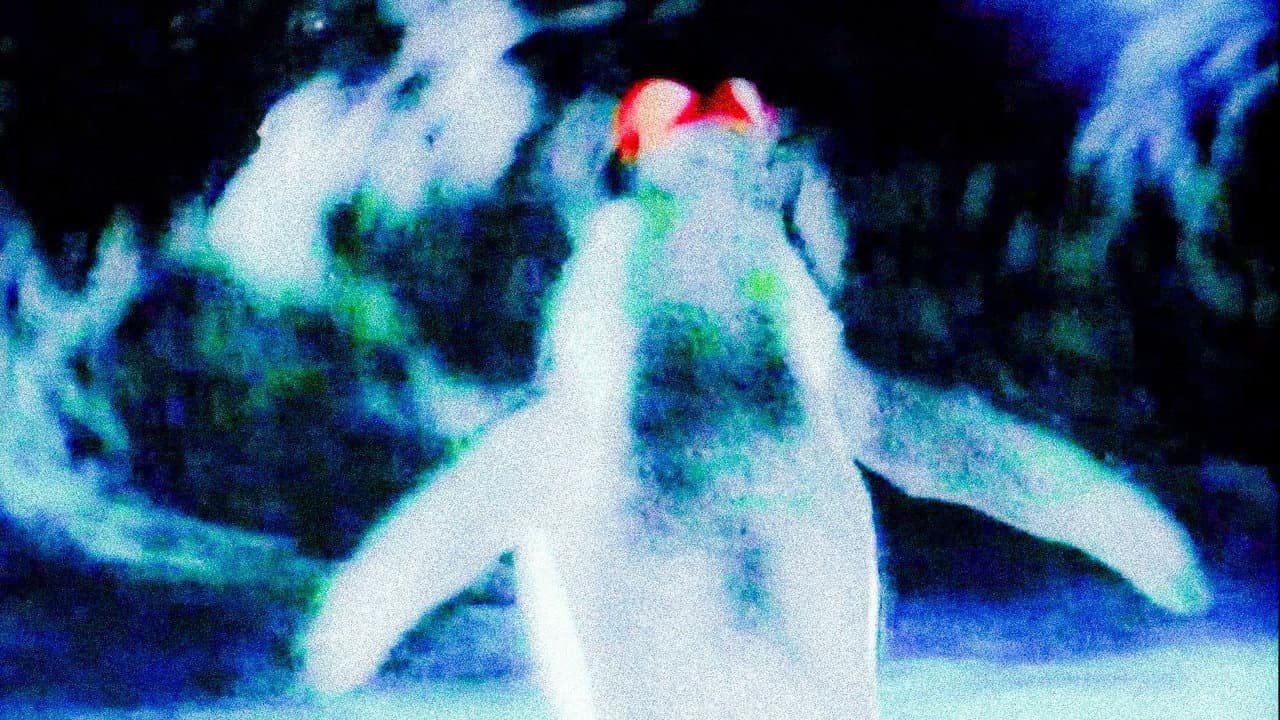 Nossa Música