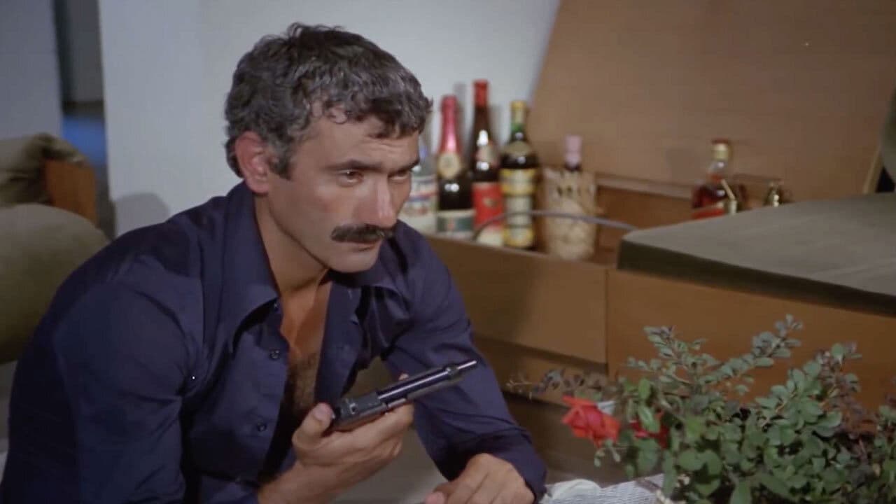 Arkadaş