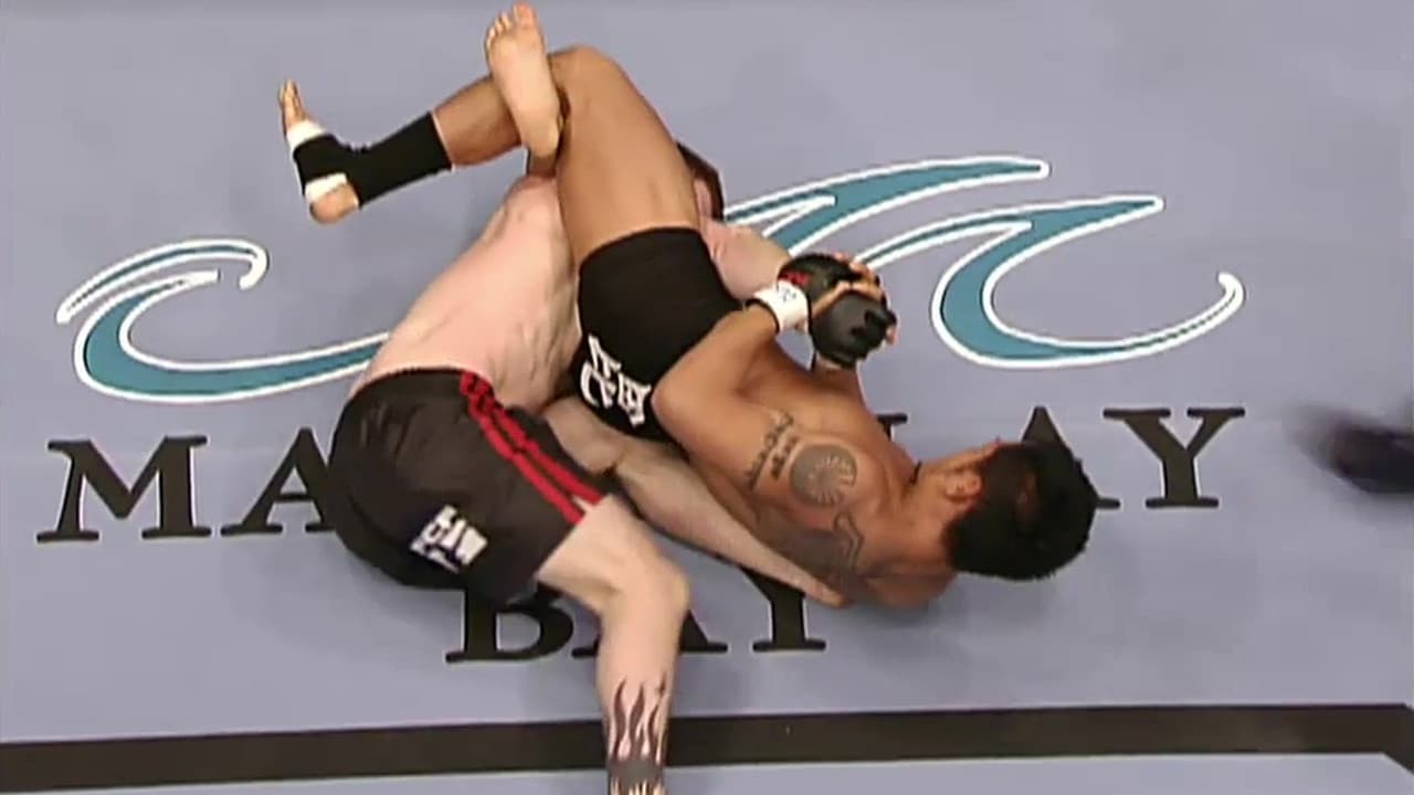 UFC 48: Payback