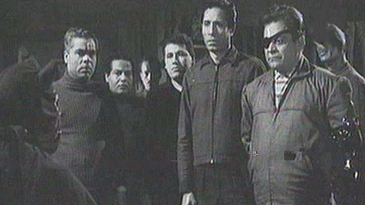 القط الأسود
