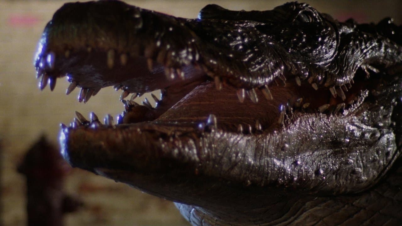 Alligator: O Jacaré Gigante