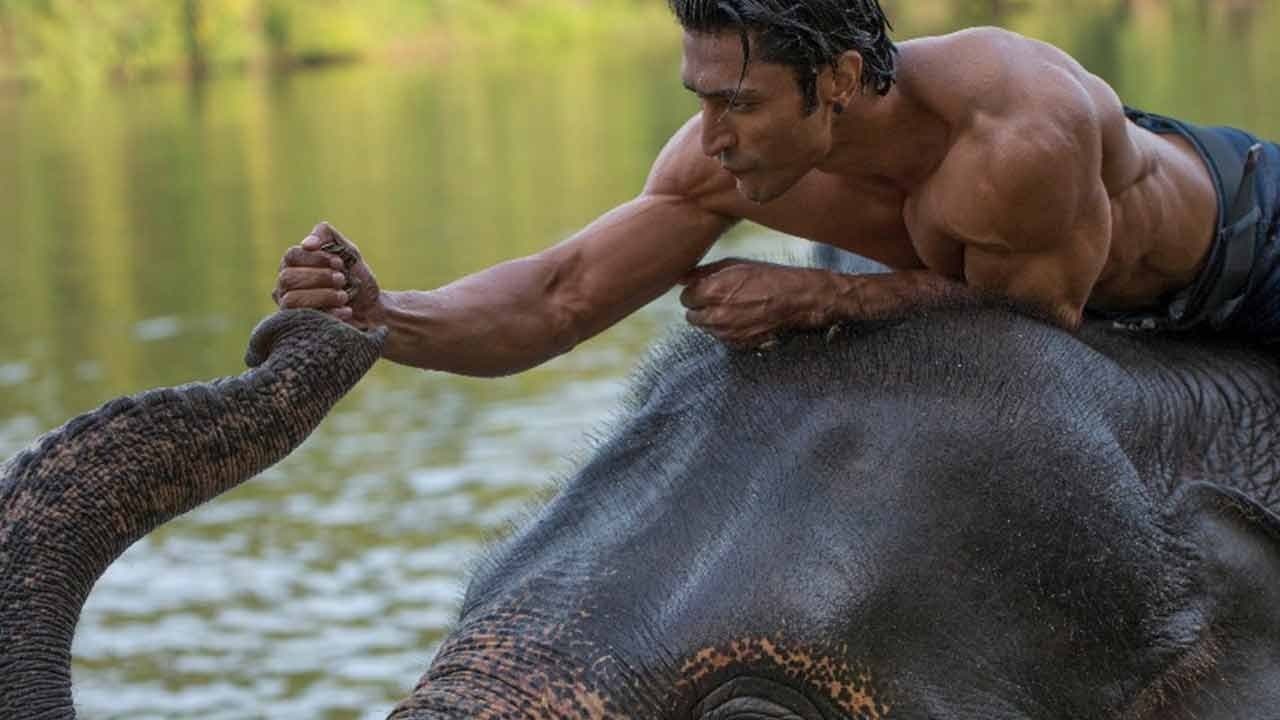 Junglee - Protegendo a Selva