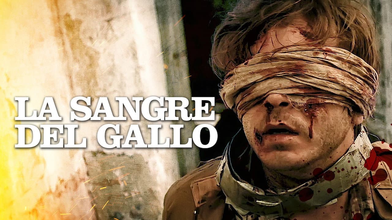 O sangue do Galo