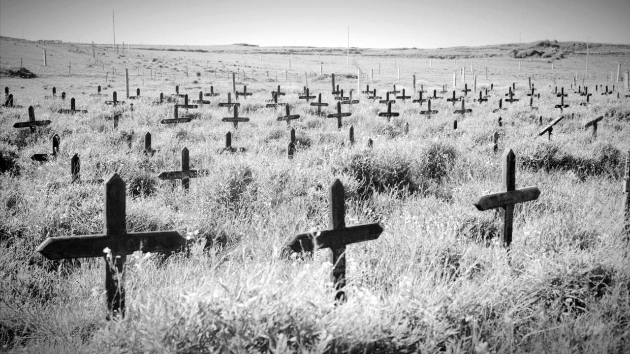 A Ilha de Adolf