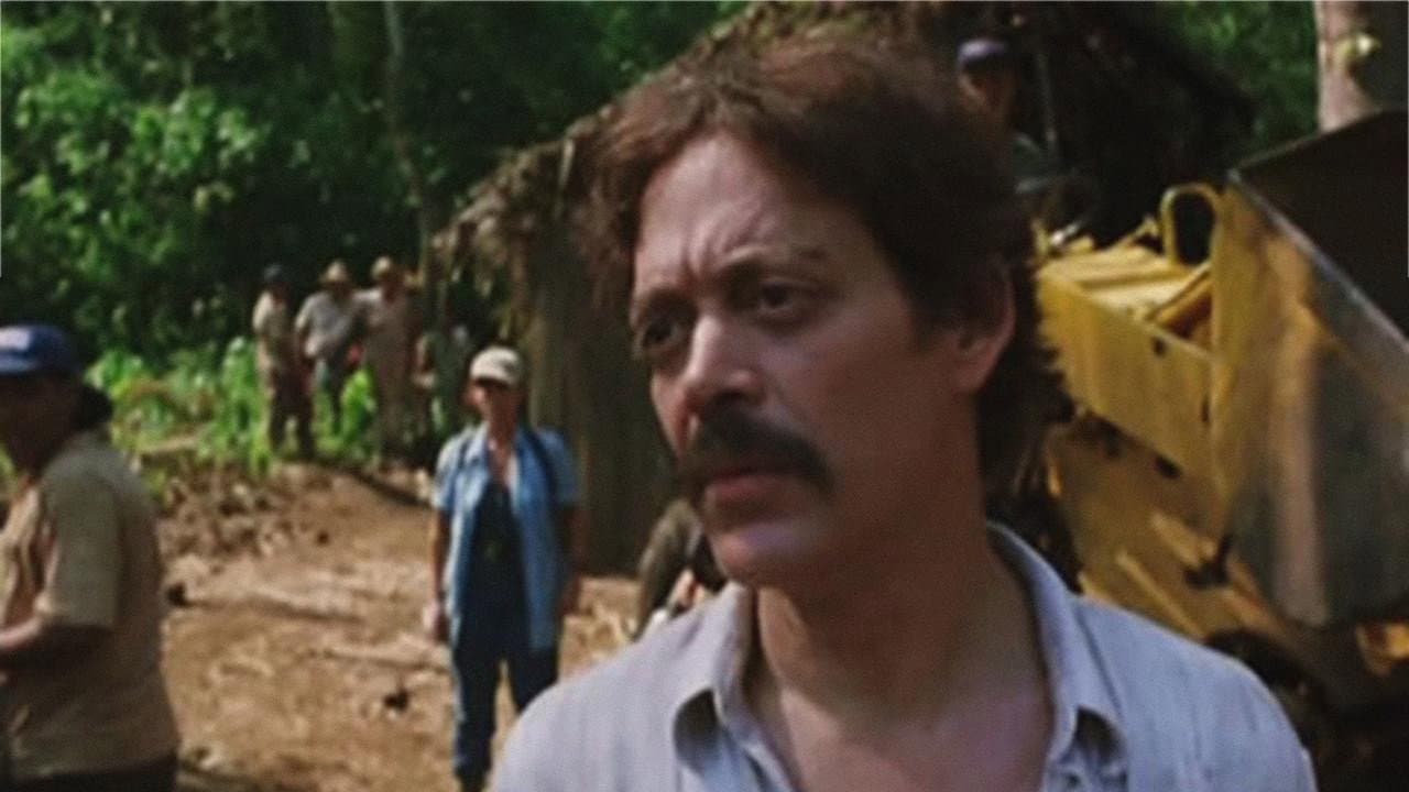 Amazônia em Chamas