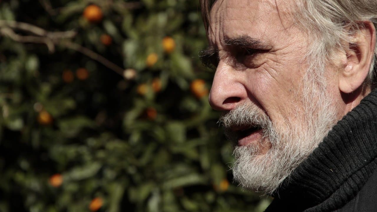 Tangerinas