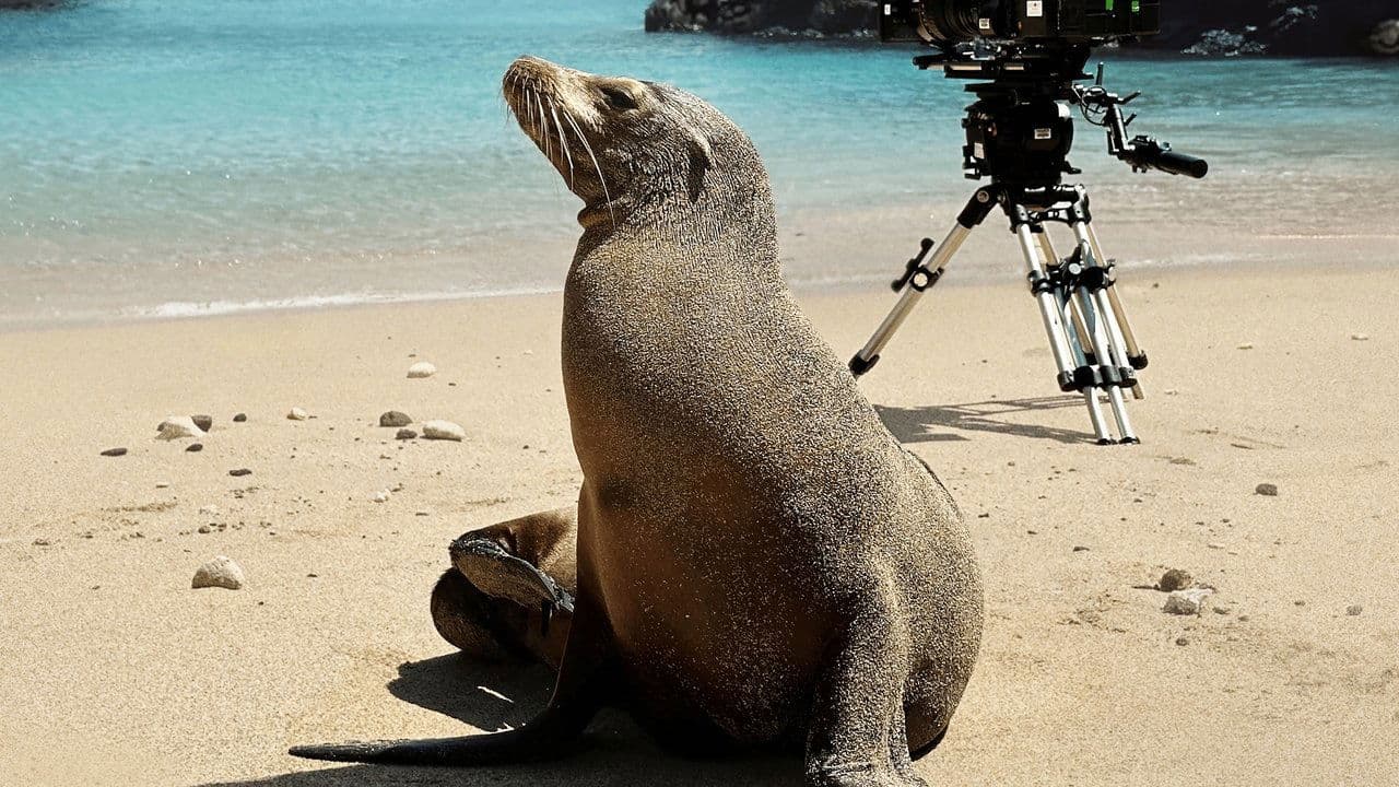 Guardiões das Ilhas Galápagos