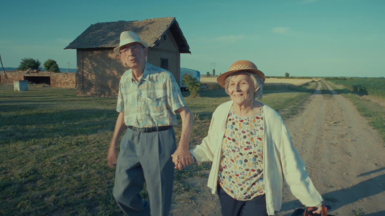 Restitucija, ili, San i java stare garde