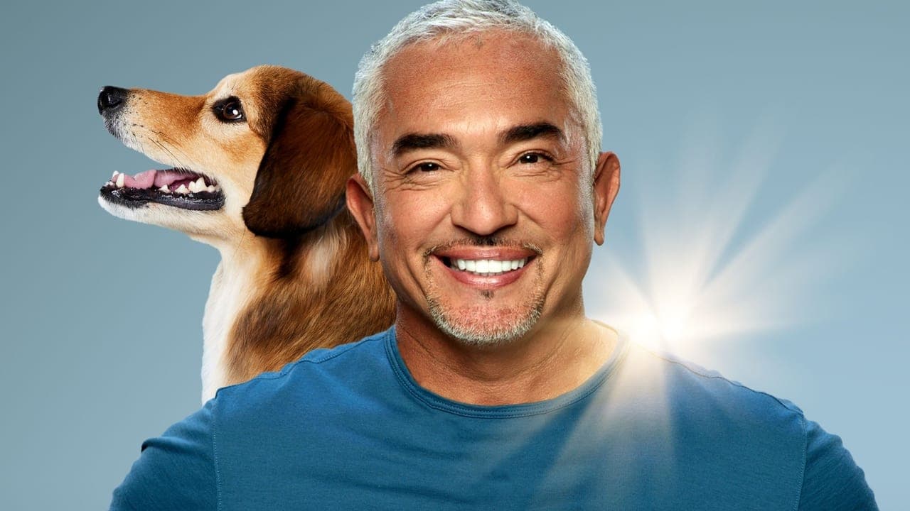 Cesar Millan: Melhores Humanos, Melhores Cachorros