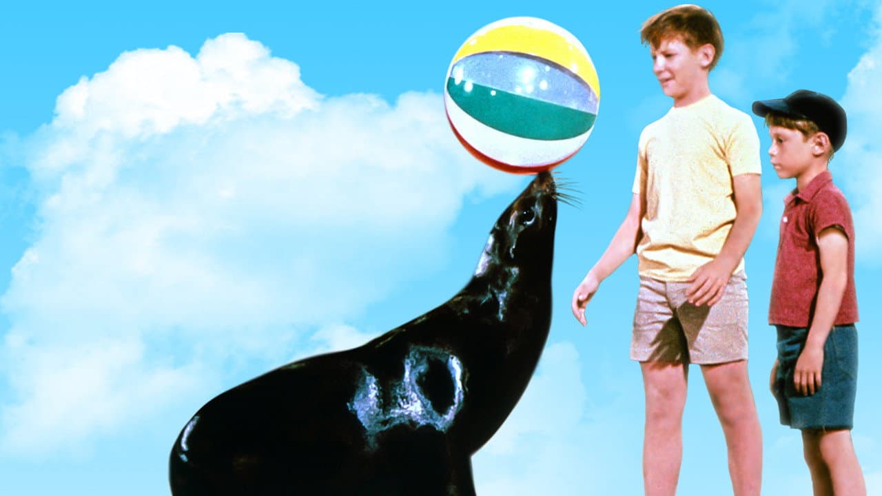 Sammy, a Foca Fora do Comum