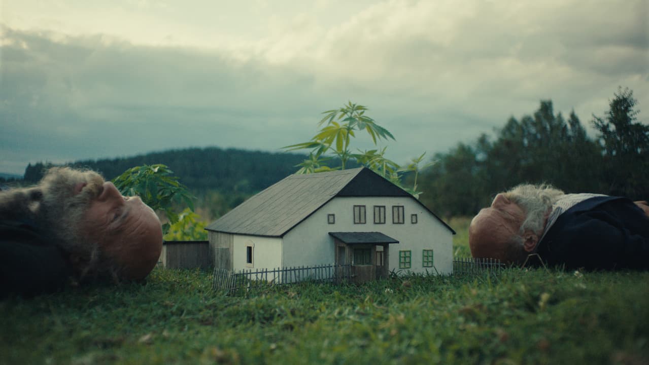 Raději zešílet v divočině