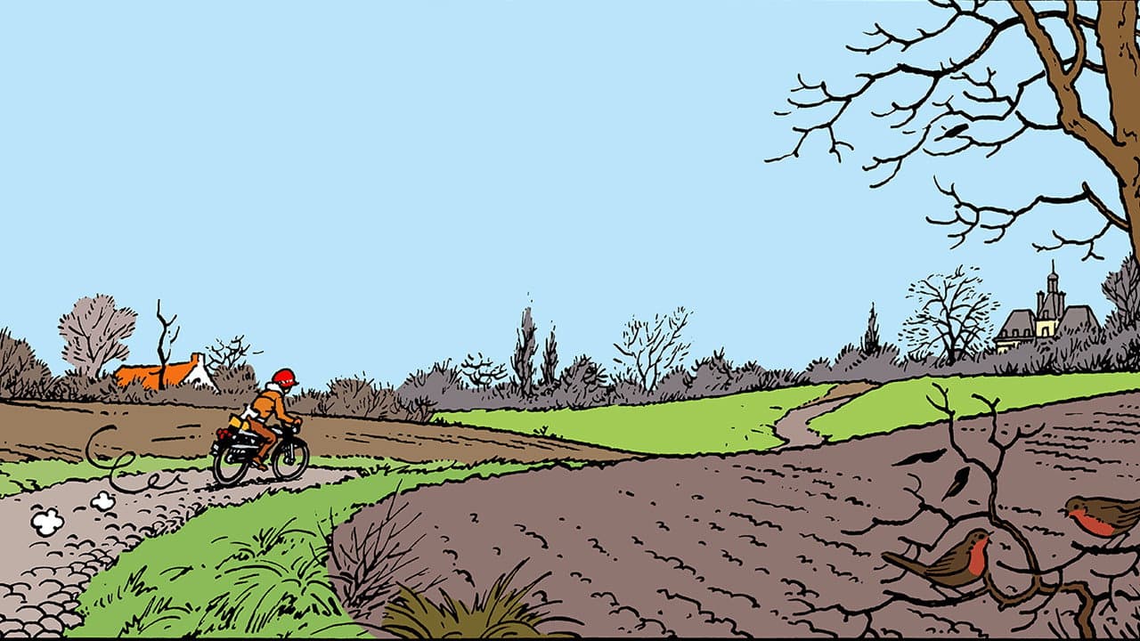 Tintin et les Picaros