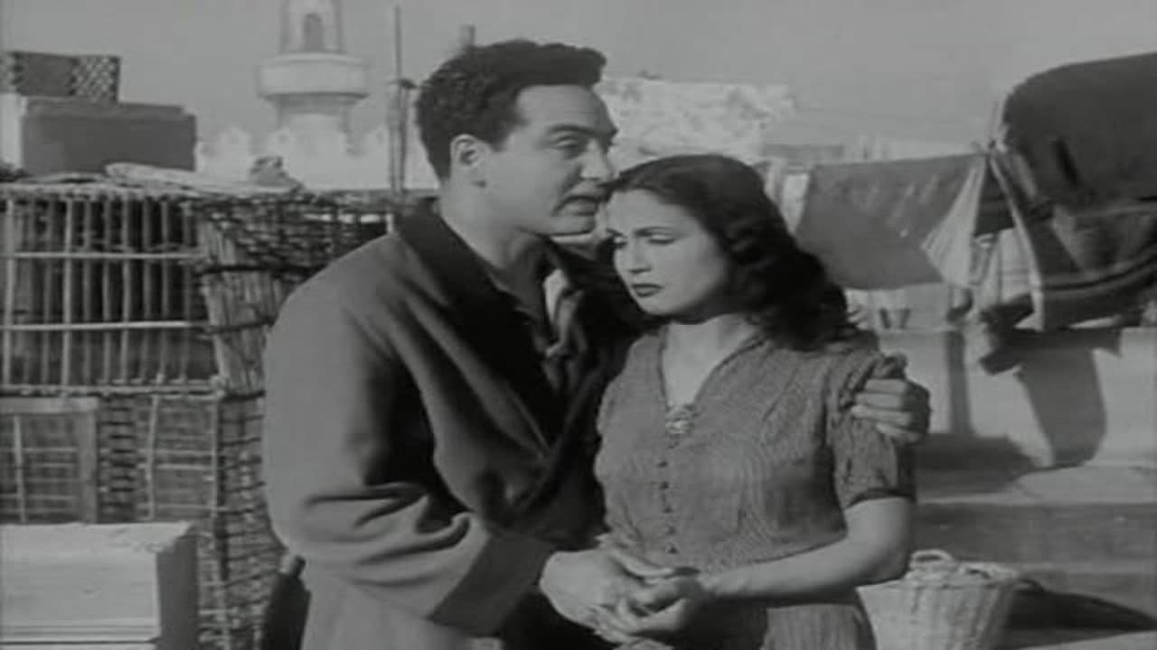 نرجس