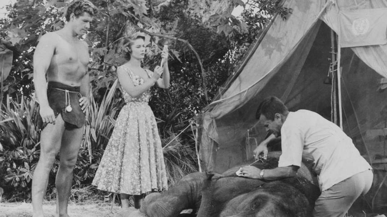 Tarzan na Selva Misteriosa