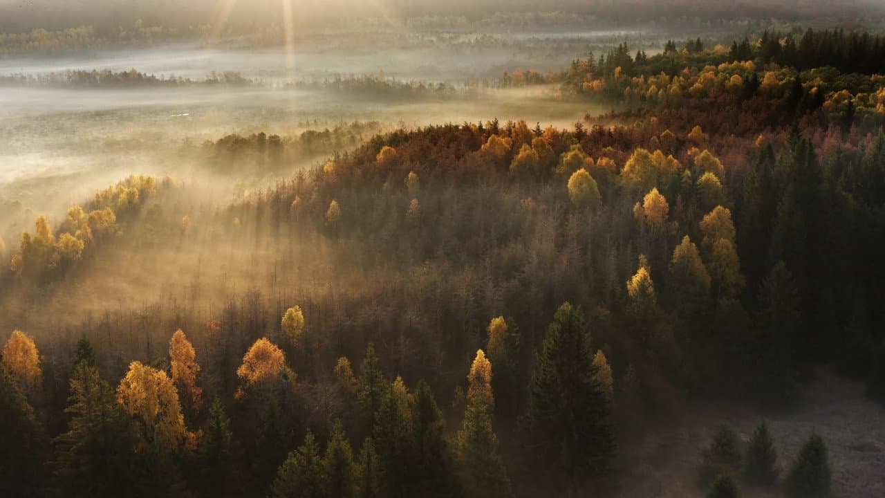 România Sălbatică