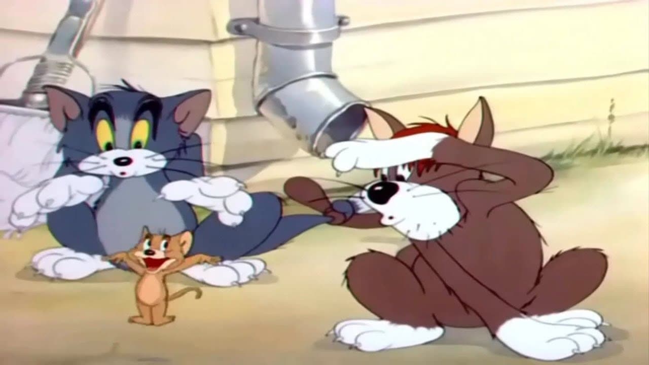 Gatos Sofredores