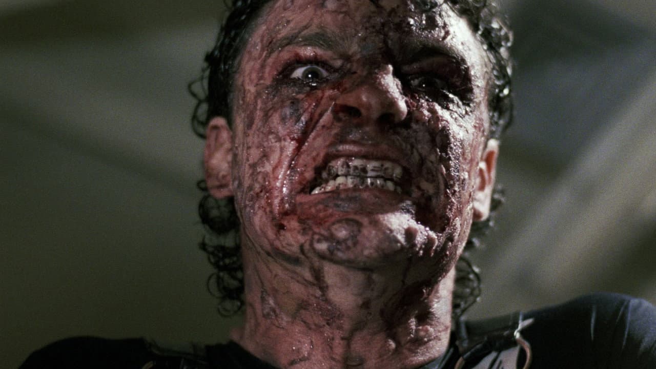 Fúria Primata