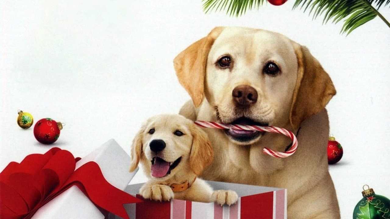 O Cachorro Que Salvou as Festas