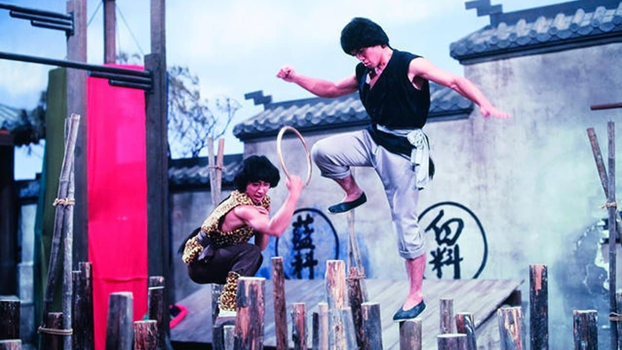 Os Combatentes de Shaolin