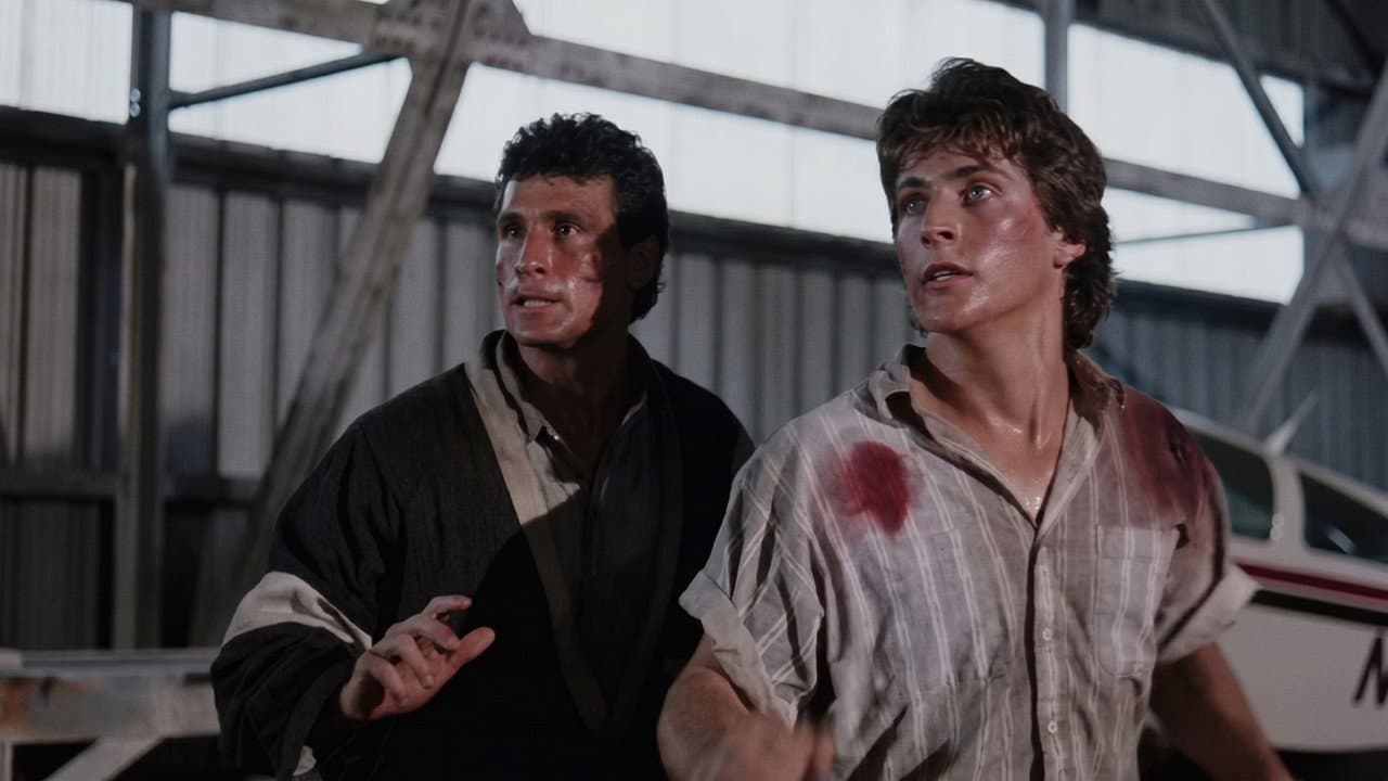 Retroceder Nunca, Render-se Jamais 3: Os Irmãos Kickboxers