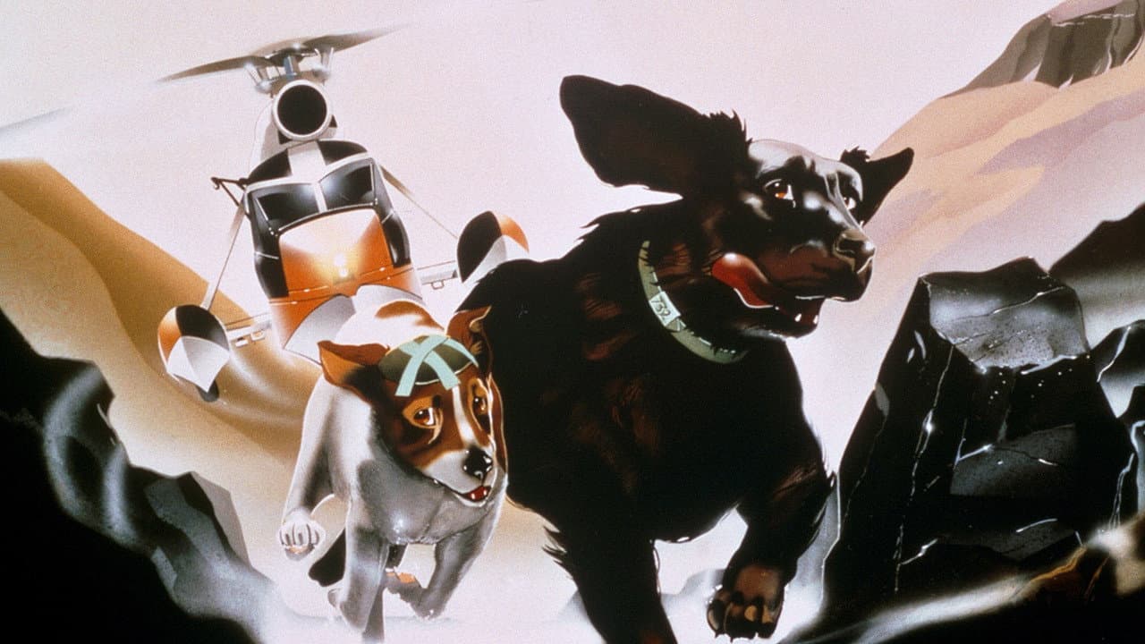 Os Cães Plagueados