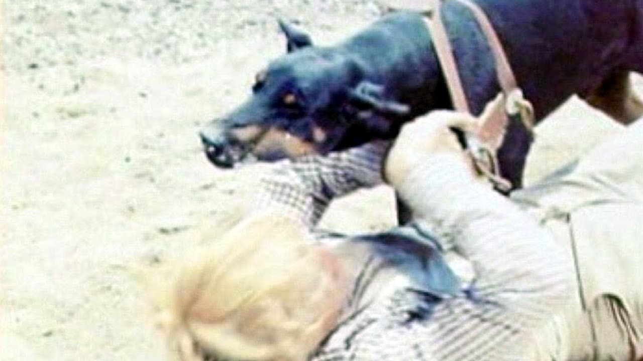 Corrida Pela Liberdade