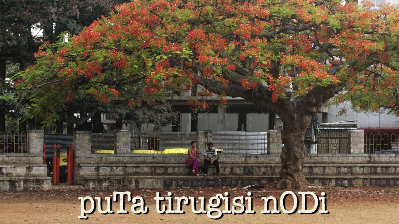 Puta Tirugisi Nodi