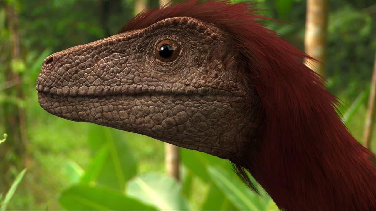 Planeta Dinossauro