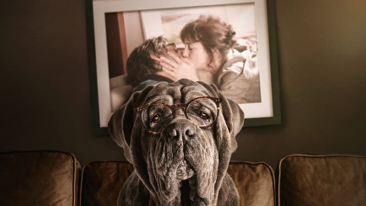 Meu Cachorro e Eu