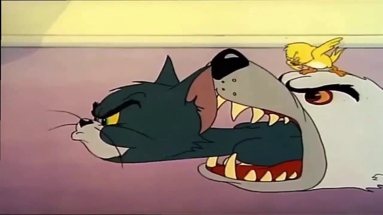 Gato Escaldado