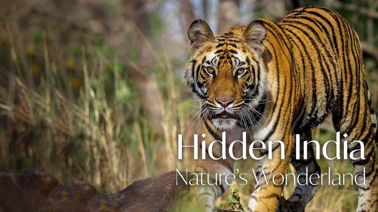 Índia: Natureza Revelada