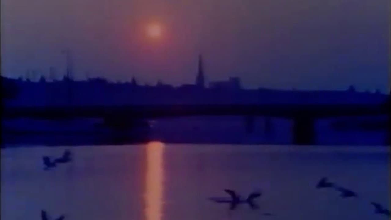 Porträtt: En film om Stockholm