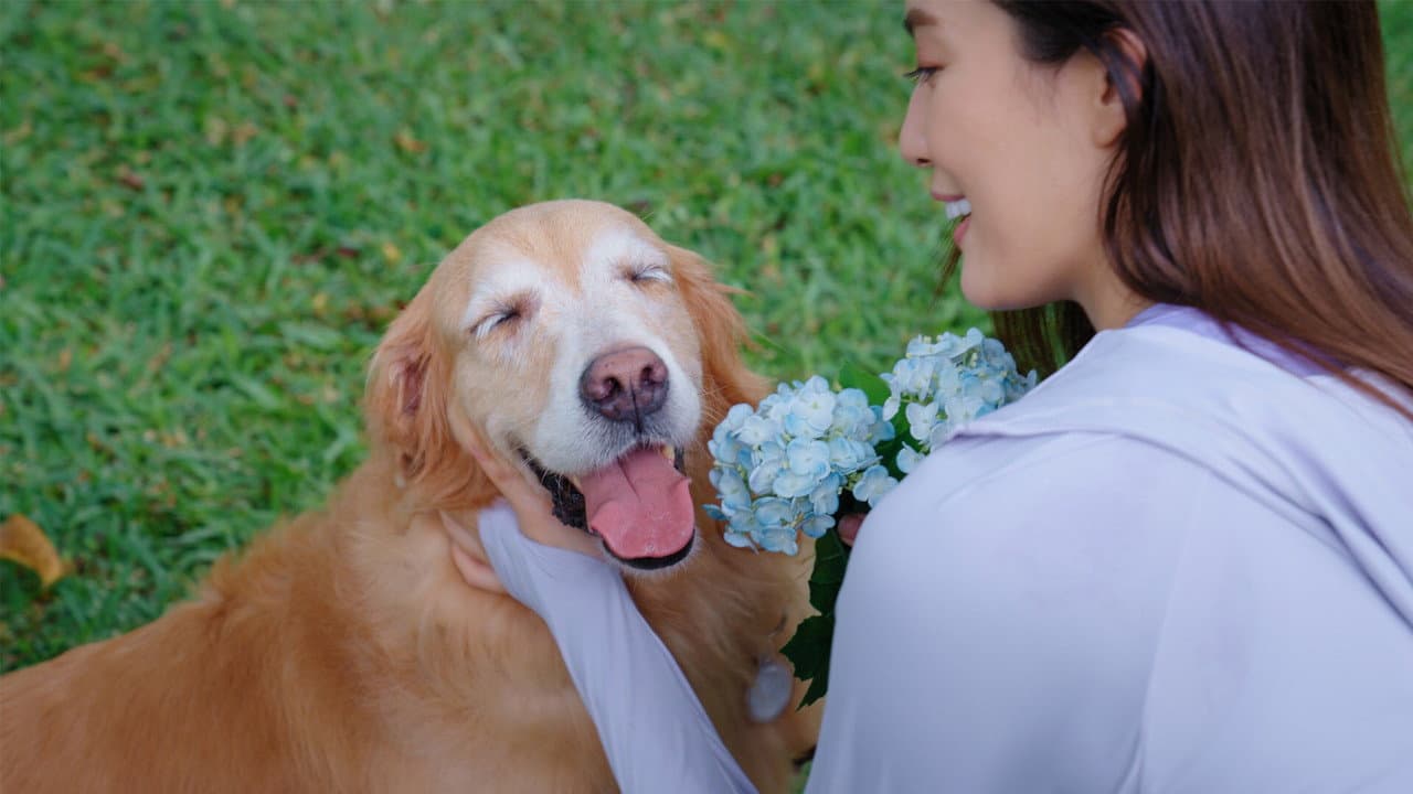 宠他,还是爱我?