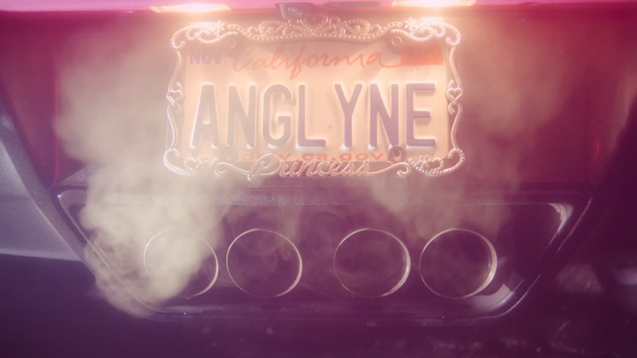 Amazing Angelyne