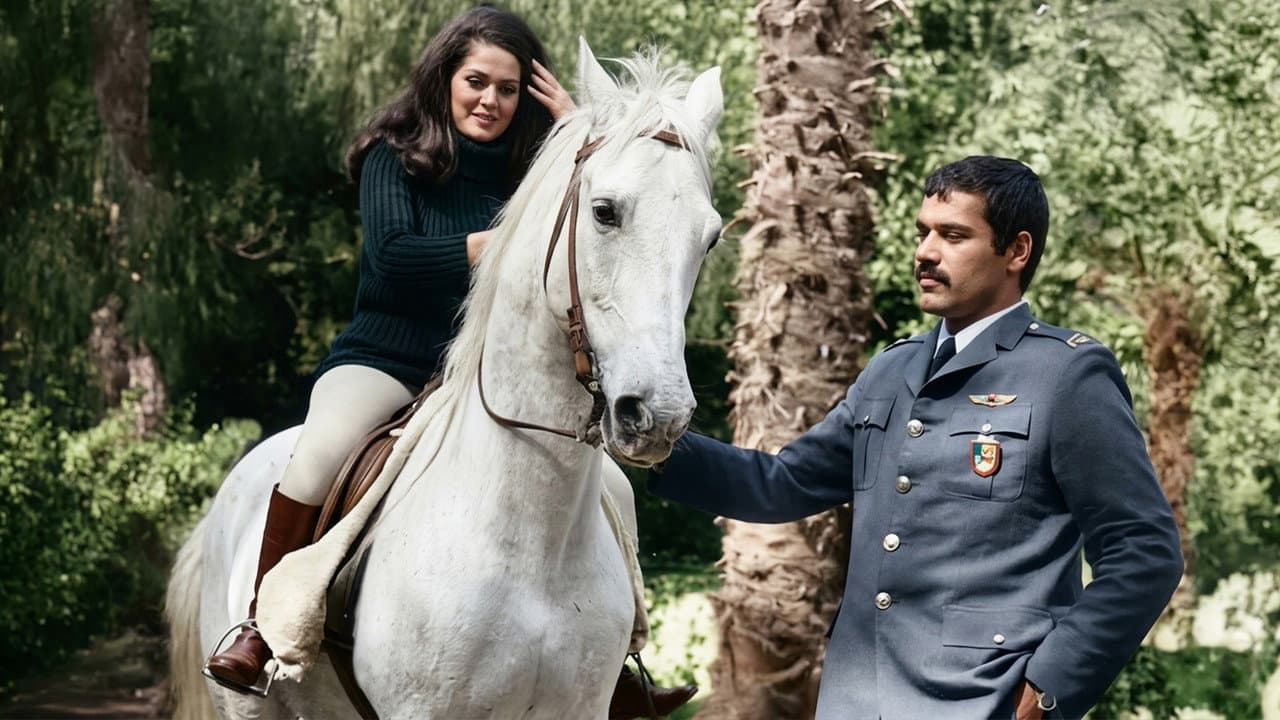 Merhamet